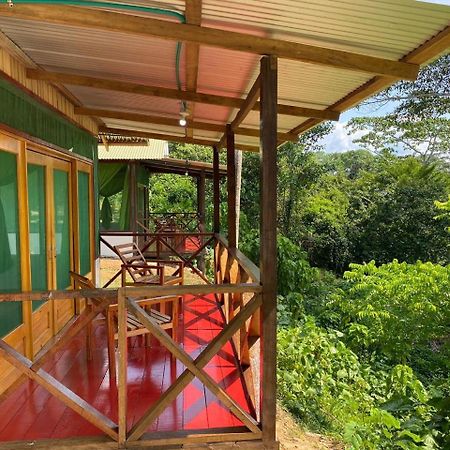 Amazon Acai Lodge Leticia Exterior photo