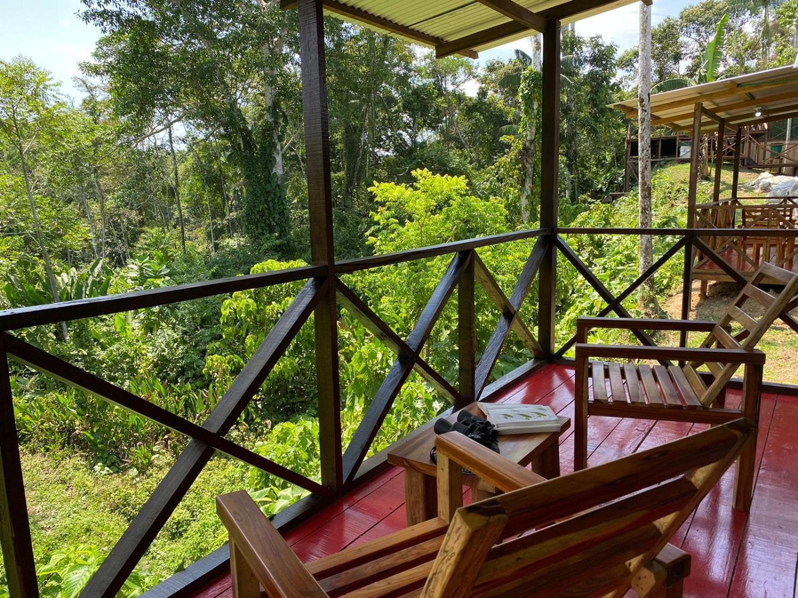 Amazon Acai Lodge Leticia Exterior photo