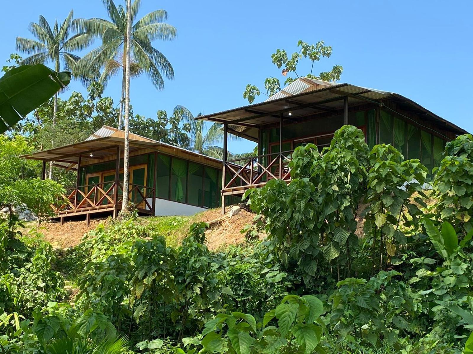 Amazon Acai Lodge Leticia Exterior photo